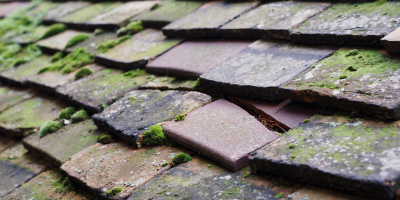 Orwell roof repair costs